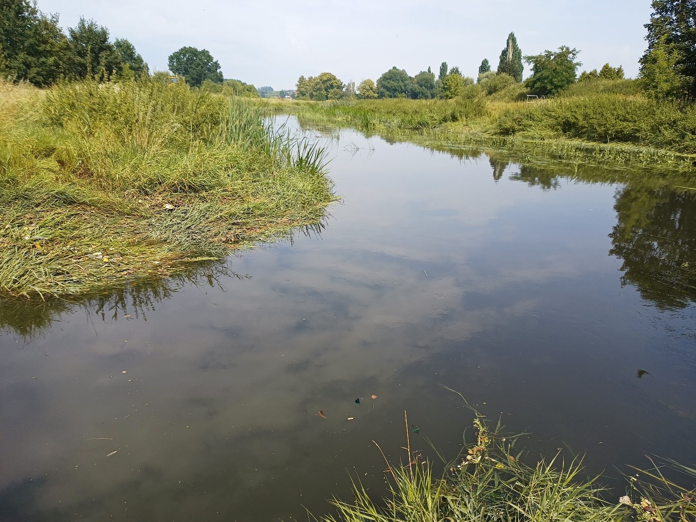 Działania WIOŚ w Szczecinie w związku z zanieczyszczeniem ściekami rzeki Iny