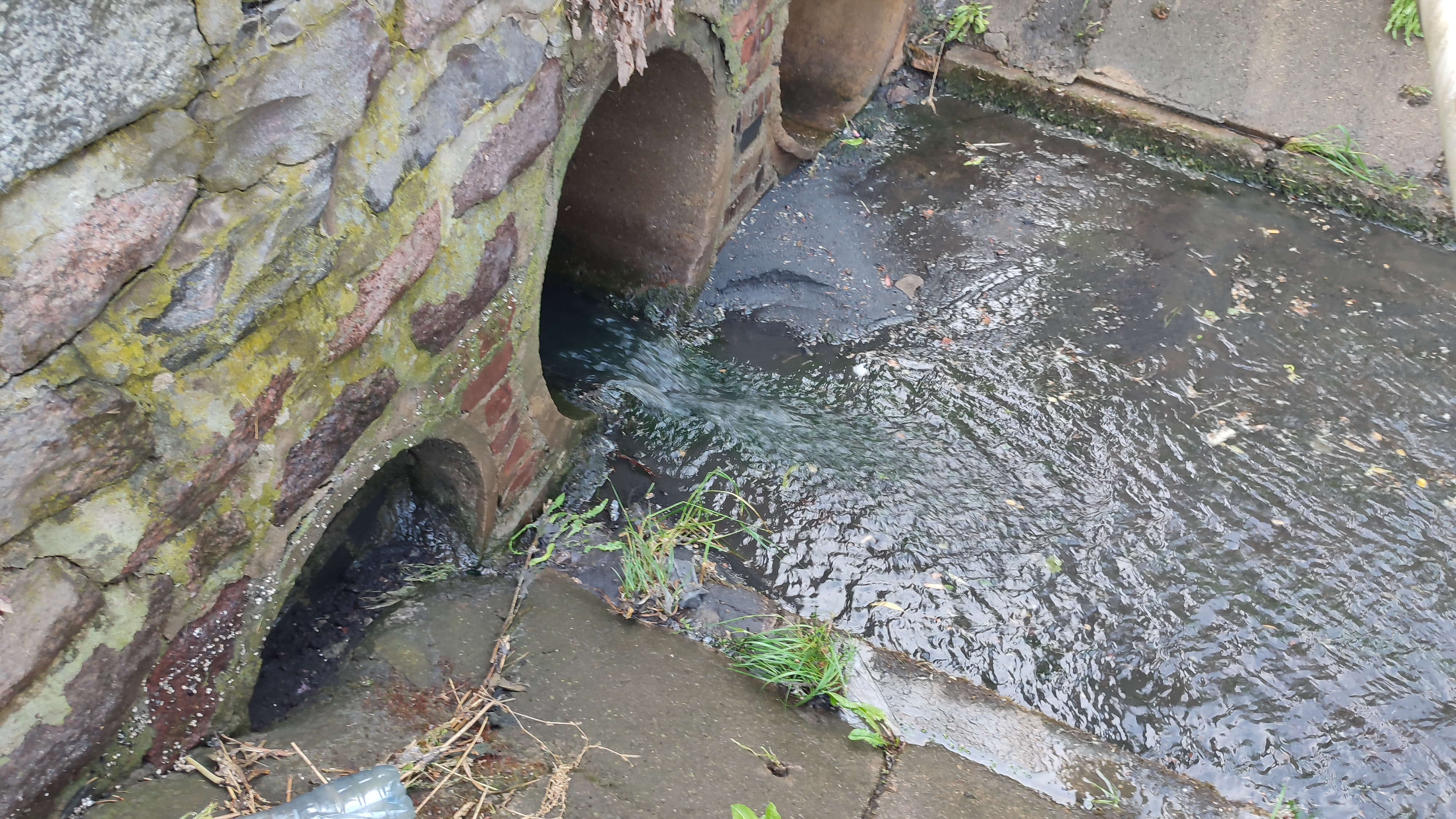 Kontrola przelewów burzowych w 2023 r. w województwie zachodniopomorskim